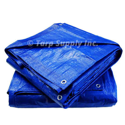 18'x24' Blue Poly Tarps - Case of 4 Tarps